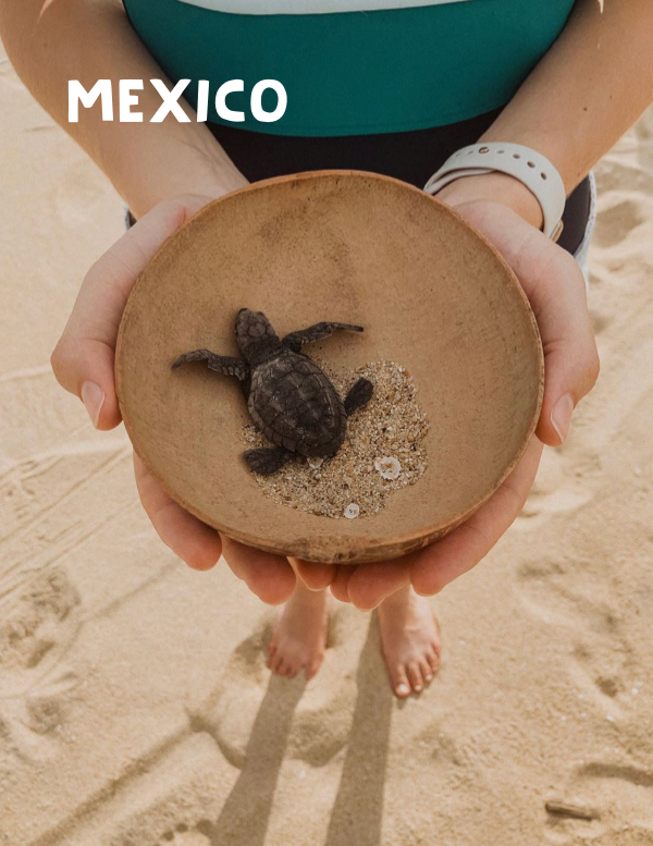 Mexico