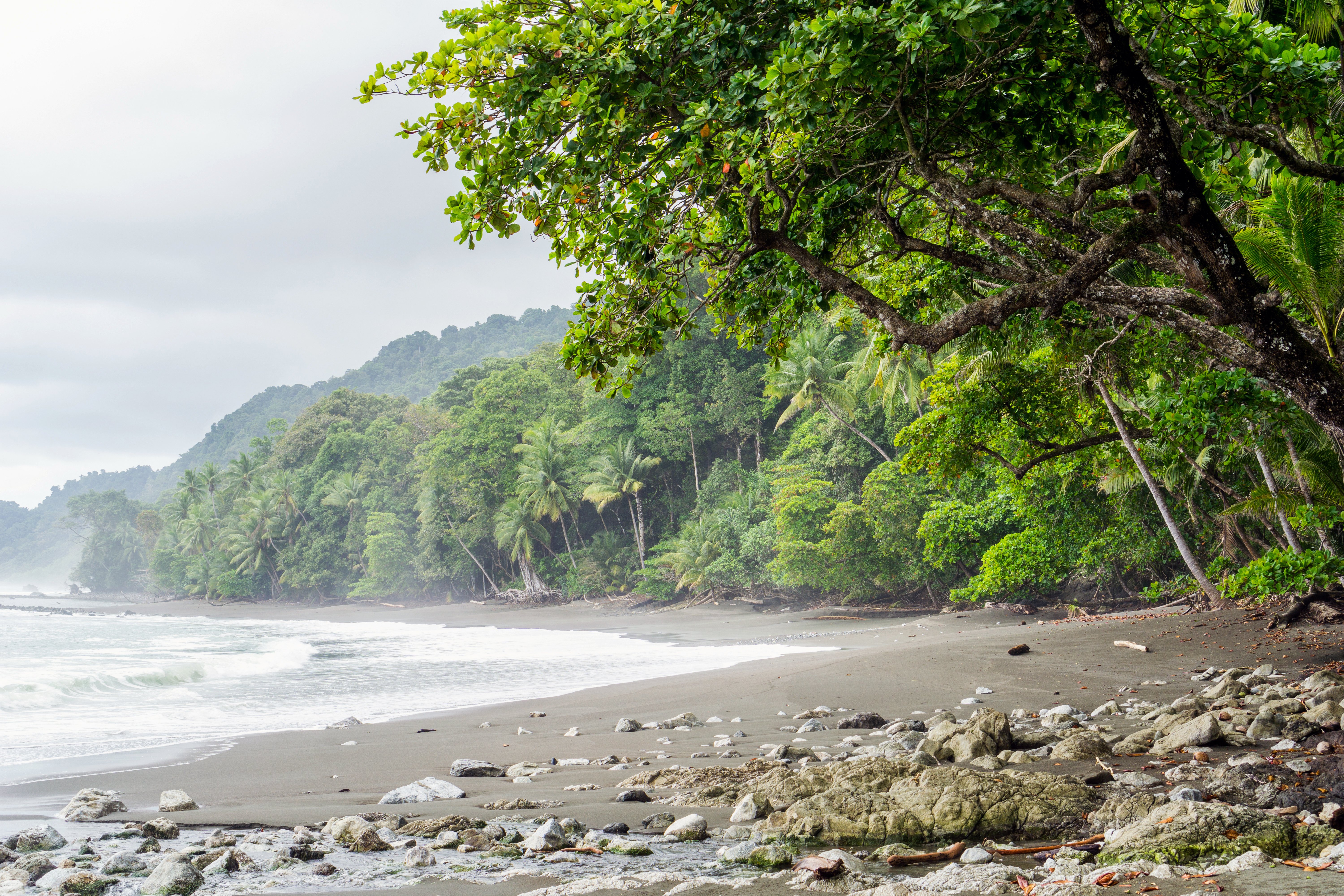 Volunteering in Costa Rica