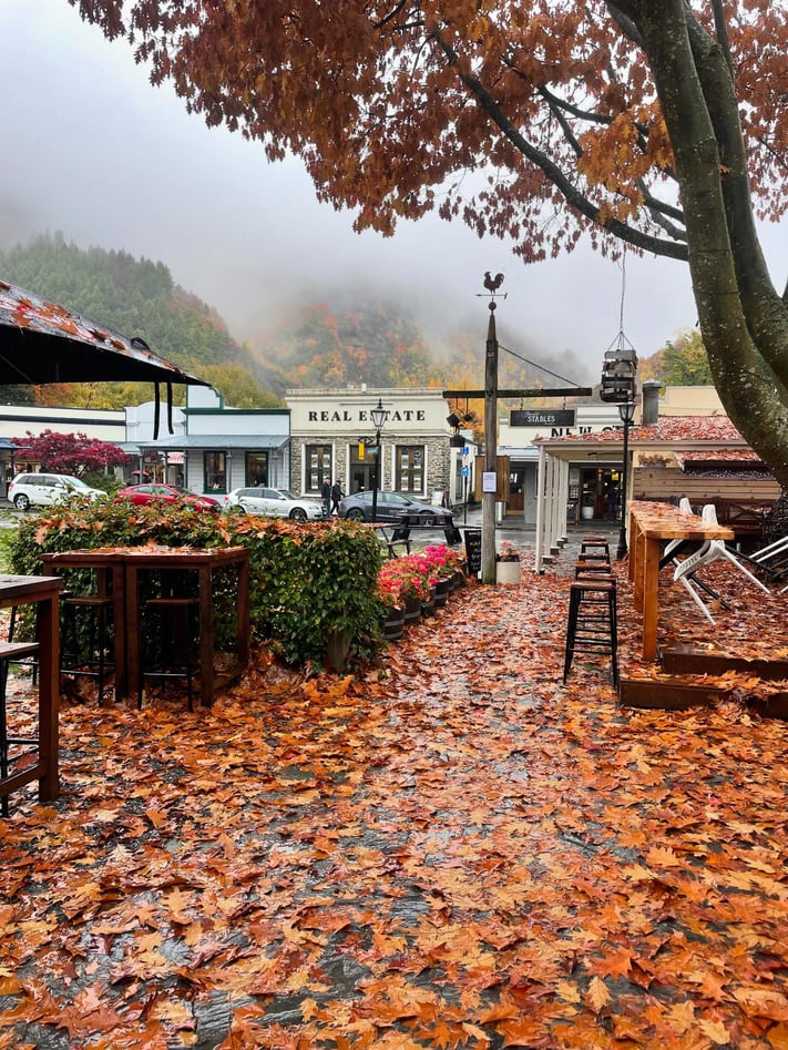 New Zealand in the fall