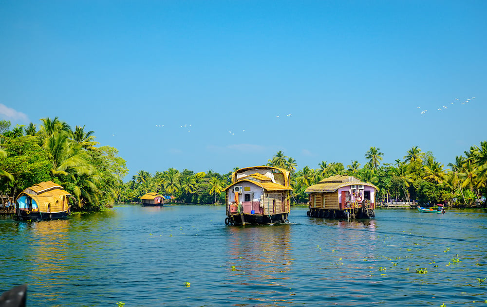 Houseboats in the backwaters of Kerala AdobeStock_82999314