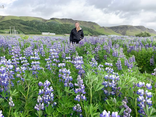 Iceland waterfals