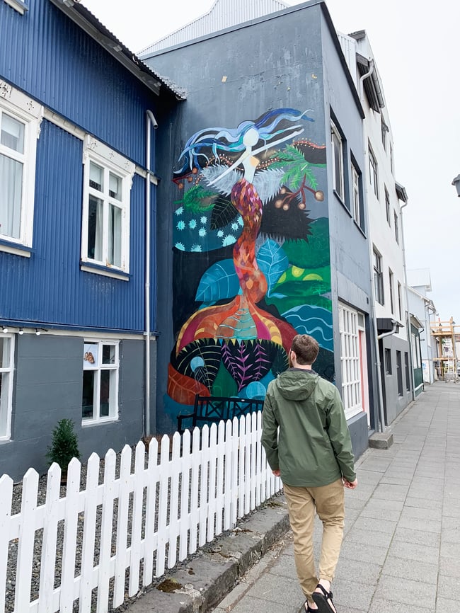 Raykjavik, Iceland art