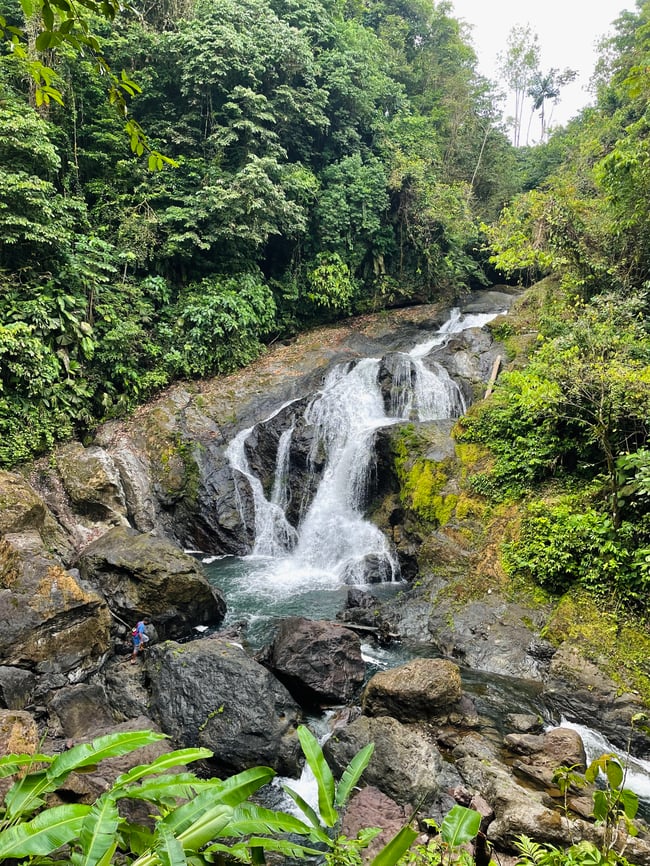 ILP Costa Rica 