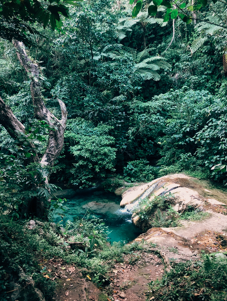 Volunteering with ILP in Vanuatu 