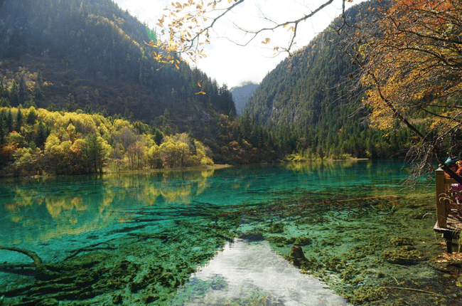 Pro Tips For Your Trip To Jiuzhaigou Park