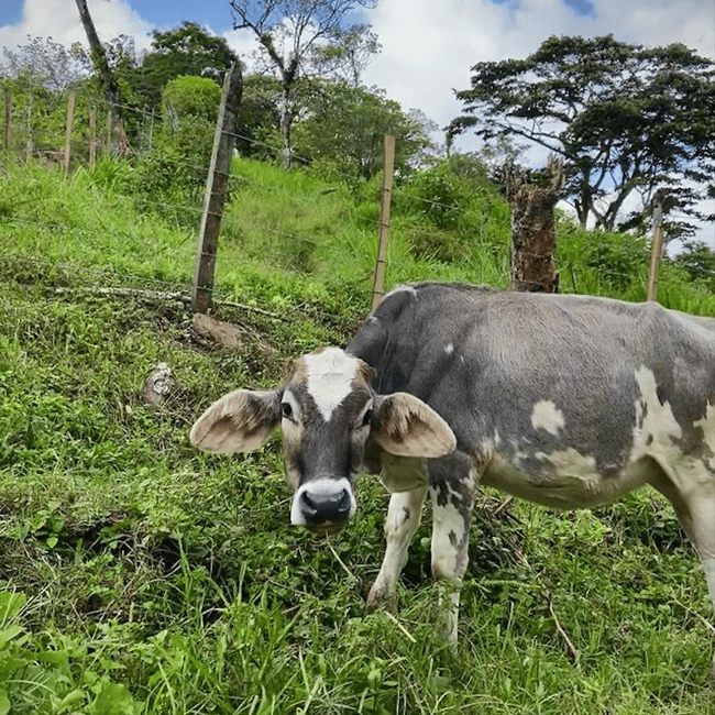 ILP Adventure in Nicaragua