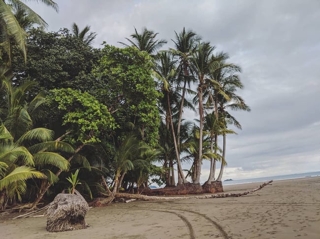 Playa Samara