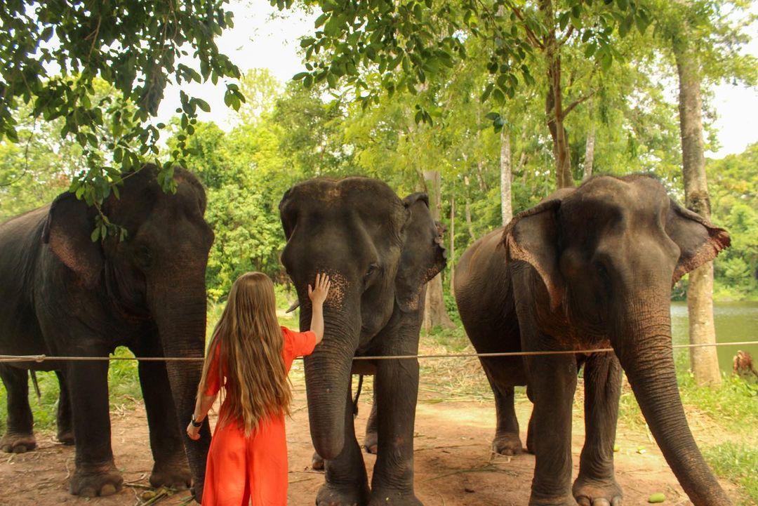 elephant sanctuaries in thailand