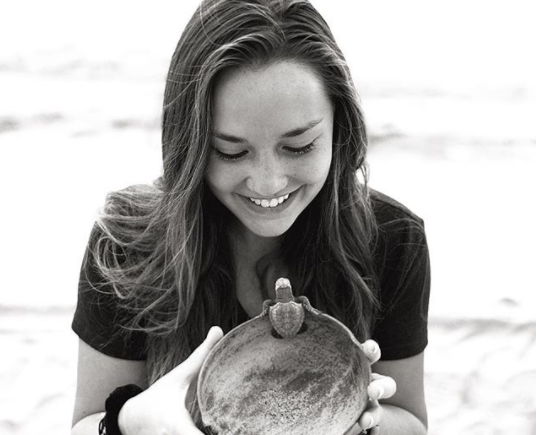 turtle release in mexico