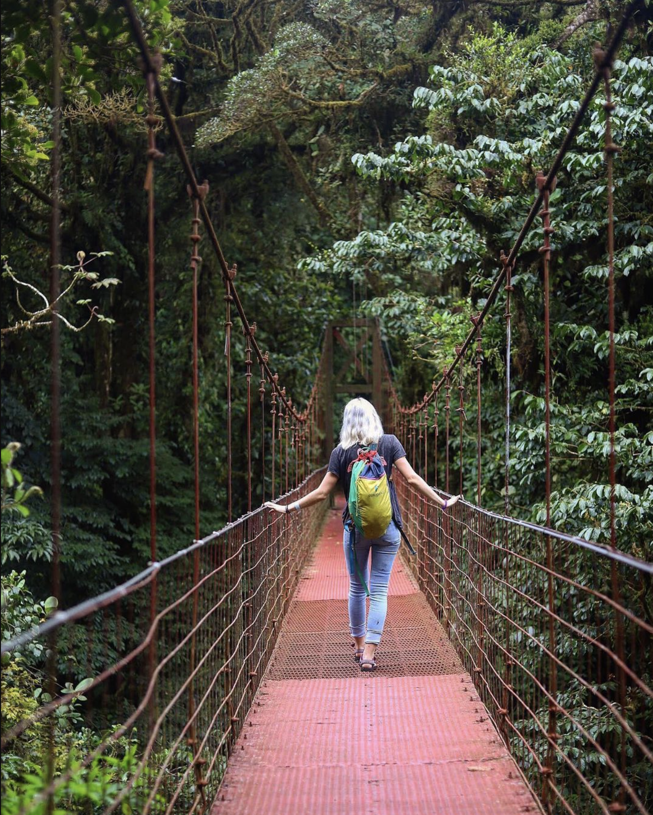 monteverde cloud forest