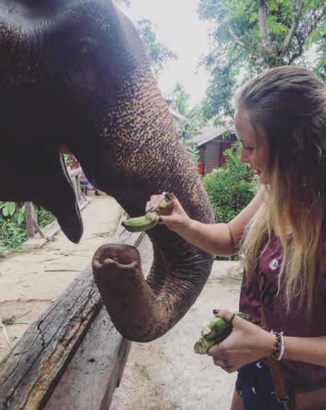 semester abroad in Thailand 